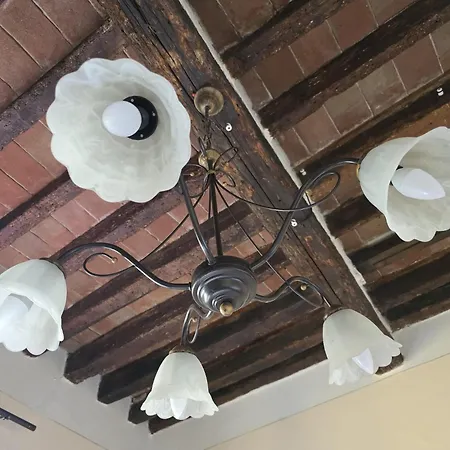 Dietro Al Corso בית הארחה פיזה